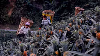 Bản Lầu chuyển mình mạnh mẽ trong công tác giảm nghèo