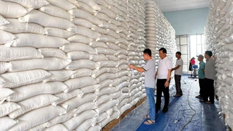 Hơn 700 tấn gạo và hàng cứu trợ quốc gia được xuất cấp khẩn cấp cho Tuyên Quang và Quảng Ngãi