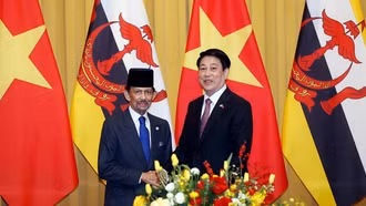 Chủ tịch nước Lương Cường hội đàm với Quốc vương Brunei