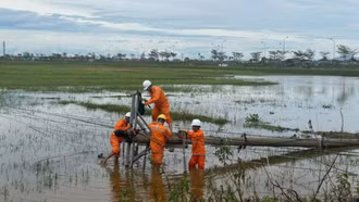 Khôi phục cấp điện trở lại cho 2,67 triệu hộ dân bị ảnh hưởng bởi bão số 10