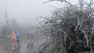 Miền Bắc chuẩn bị bước vào cao điểm rét đậm, rét hại, mùa đông năm nay khắc nghiệt