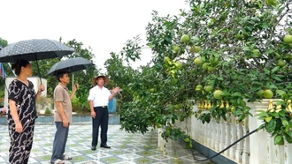 Bí thư chi bộ hết lòng vì sự phát triển của thôn