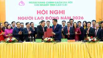 Chi nhánh Ngân hàng Chính sách xã hội tỉnh Lào Cai tổ chức hội nghị người lao động năm 2026