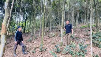 “Ý Đảng, lòng dân” ở chi bộ thôn kiểu mẫu