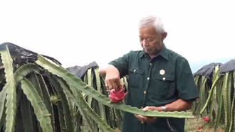 Gương sáng ở Sang Đốm