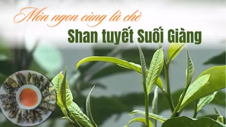 Món ngon cùng lá chè Shan tuyết Suối Giàng 