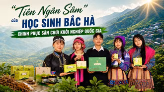  “Tiên Ngân Sâm” của học sinh vùng cao Bắc Hà chinh phục sân chơi khởi nghiệp quốc gia