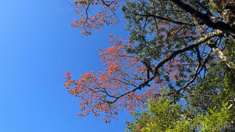 Dự báo thời tiết đêm nay và ngày mai (25/11)