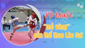 Võ thuật - “mỏ vàng” của thể thao Lào Cai