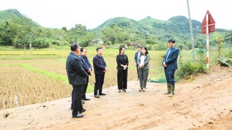 Phó Chủ tịch HĐND tỉnh Hoàng Thị Thanh Bình khảo sát công tác đầu tư đường giao thông nông thôn tại xã Thượng Hà và Phúc Khánh