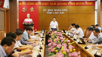 Tập trung triển khai công tác sắp xếp đơn vị hành chính cấp tỉnh, cấp xã
