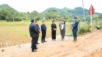 Phó Chủ tịch HĐND tỉnh Hoàng Thị Thanh Bình khảo sát công tác đầu tư đường giao thông nông thôn tại xã Thượng Hà và Phúc Khánh