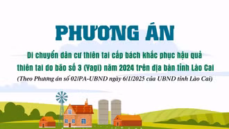 [Infographic] Phương án di chuyển dân cư thiên tai cấp bách khắc phục hậu quả bão Yagi