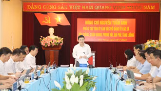 Phó Bí thư Tỉnh ủy Nguyễn Tuấn Anh làm việc với Đảng ủy các xã Bảo Thắng, Xuân Quang, Phong Hải, Gia Phú và Tằng Loỏng