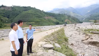 Phân công nhiệm vụ thành viên Ban chỉ huy phòng, chống thiên tai và tìm kiếm cứu nạn tỉnh Lào Cai năm 2025