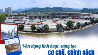 Vận dụng linh hoạt, sáng tạo cơ chế, chính sách