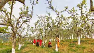 Công nhận Trại Nghiên cứu và Sản xuất rau quả Bắc Hà là điểm du lịch