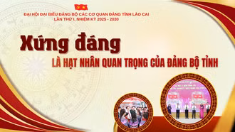 Xứng đáng là hạt nhân quan trọng của Đảng bộ tỉnh