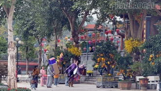 Bảo Hà đón khoảng 300.000 lượt khách dịp Tết Nguyên đán Bính Ngọ 2026