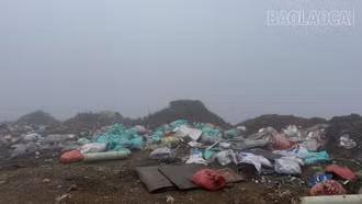 Phường Sa Pa cần quyết liệt xử lý bãi rác tự phát