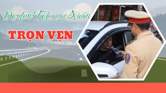 Để đón Tết, vui Xuân trọn vẹn