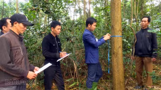 Phường Âu Lâu quan tâm bố trí tái định cư cho người dân