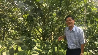 Nâng tầm ngành nông nghiệp từ sản xuất xanh