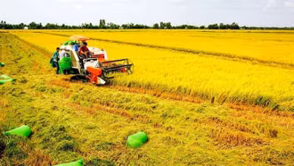 Năm 2025, ngành nông nghiệp dự kiến tăng trưởng 3,3 - 3,4%