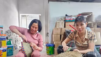 Sức sống di sản nghề cói Kim Sơn