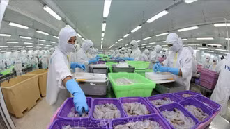 Việt Nam là thị trường cung cấp thuỷ sản lớn thứ 2 cho Brazil