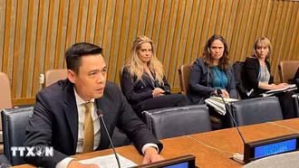 Việt Nam được đề cử làm Chủ tịch Hội nghị kiểm điểm NPT lần thứ 11