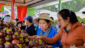 Đẩy mạnh quảng bá nông sản Việt qua Lễ hội trái cây Nam bộ năm 2025