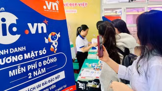 Phát triển gần 70.000 tên miền ".vn" thuộc không gian tên miền mới