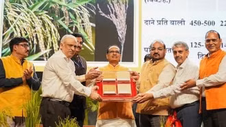 Ấn Độ công bố hai giống lúa chỉnh sửa gen đầu tiên