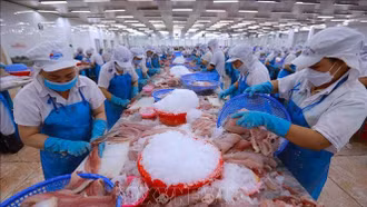 Tăng tốc đưa xuất khẩu nông - lâm - thủy sản đạt 65 tỷ USD