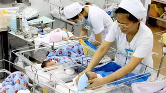 Mức sinh của Việt Nam xuống thấp nhất từ trước đến nay