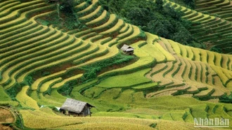 Tái cấu trúc du lịch, giữ hồn bản sắc