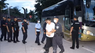 LHQ cảnh báo trung tâm lừa đảo châu Á vươn vòi bạch tuộc khắp thế giới