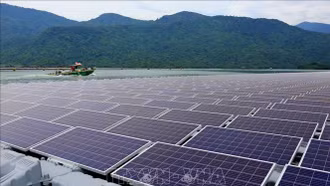 Thuế quan của Mỹ: "Cú hích" cho chuyển đổi năng lượng Đông Nam Á