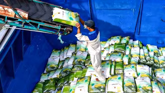 Chuyển đổi số để chuyên nghiệp hoá ngành hàng lúa gạo