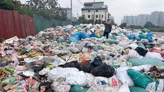 Đổ trộm, đốt bỏ hàng giả, hàng nhái: Xử lý nghiêm để răn đe