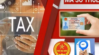 Sử dụng số định danh cá nhân thay cho mã số thuế từ 01/7/2025: Lưu ý với người nộp thuế