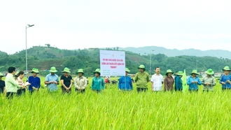 Văn Bàn nỗ lực giảm nghèo