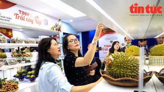 Công nghệ QR code - Bước tiến minh bạch hóa nguồn gốc nông sản Việt