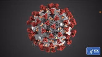 Các nước Đông Nam Á tăng cường biện pháp phòng, chống dịch Covid-19