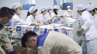 Trách nhiệm của Bộ Y tế đến đâu trong vụ gần 600 loại sữa bột giả?