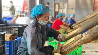 Phấn đấu tỷ lệ nghèo đa chiều cả nước bình quân ở mức 1 đến 1,5%/năm