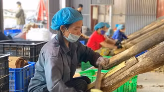 Phấn đấu tỷ lệ nghèo đa chiều cả nước bình quân ở mức 1 đến 1,5%/năm