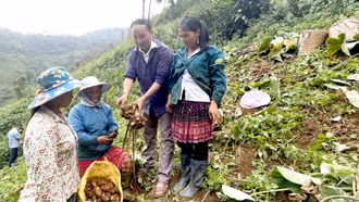 Cuộc cách mạng nông nghiệp ở Trạm Tấu