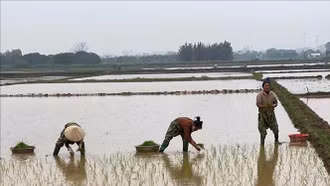 Đưa tiến bộ kỹ thuật vào sản xuất nông nghiệp thích ứng biến đổi khí hậu